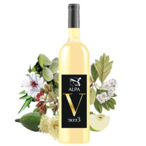 alpa-vin-blanc-cave-corse-tinténiac
