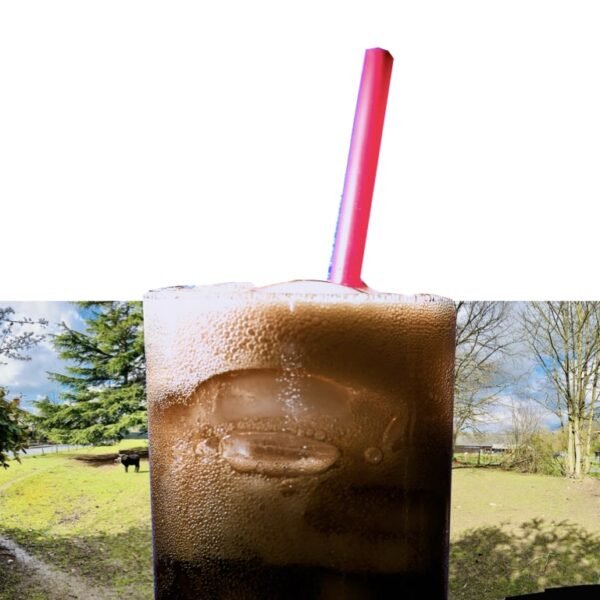 boissons-fraîches-soda-à-Tinténiac-snack-bar-guinguette