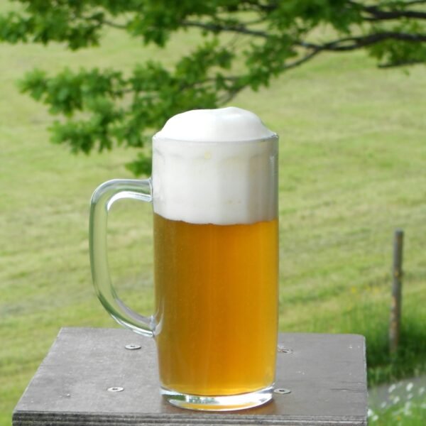 boire-une-bière-à-tinténiac-guinguette-snack-bar-drive-tinténiac