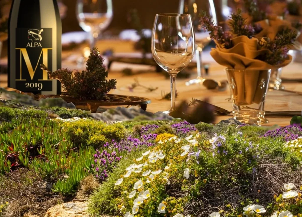 cave-à-manger-tinténiac-vin-corse