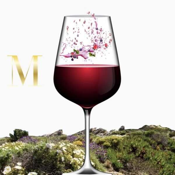 verre-vin-rouge-M-snack-bar-drive-guinguette-tinténiac