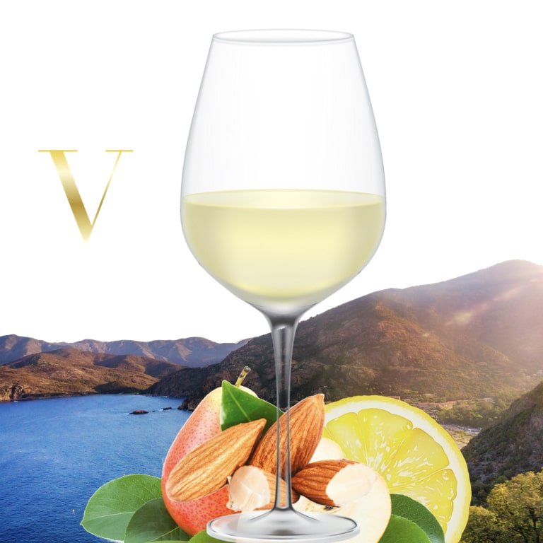 verre-de-vin-blanc-V-snack-bar-cave-drive-guinguette-tinténiac